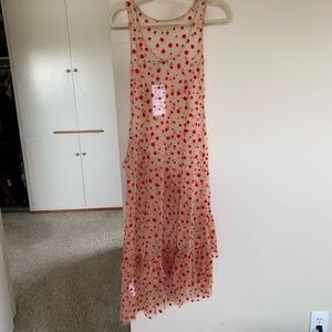 Zara transparent nude and red polka dot dress